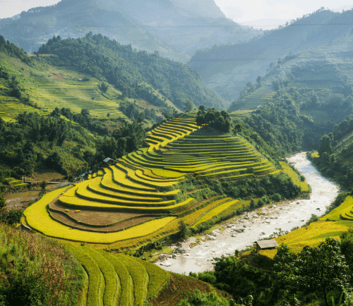 Vietnam Tour Packages