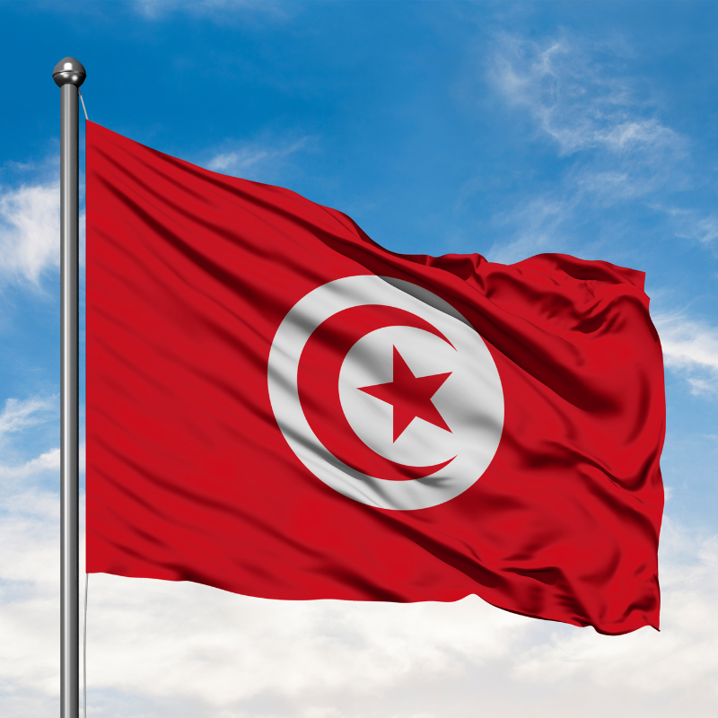 Tunisia Tourist visa