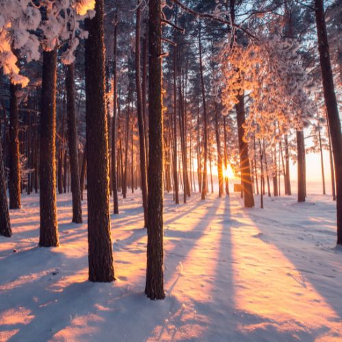 New Zealand Winter Tour Package