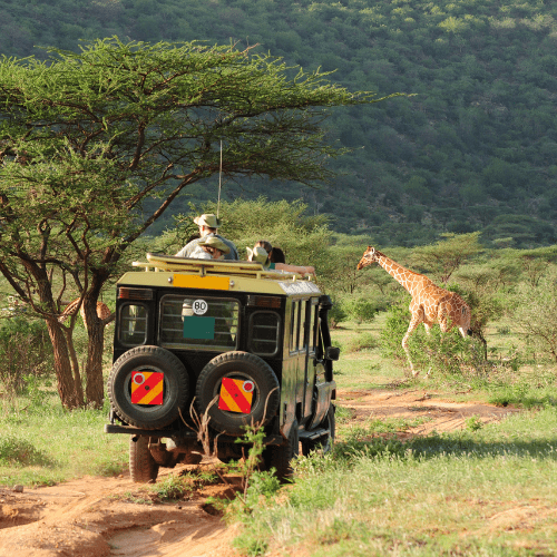 kenya